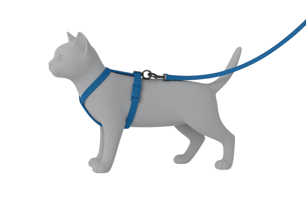 Амуниция для прогулок